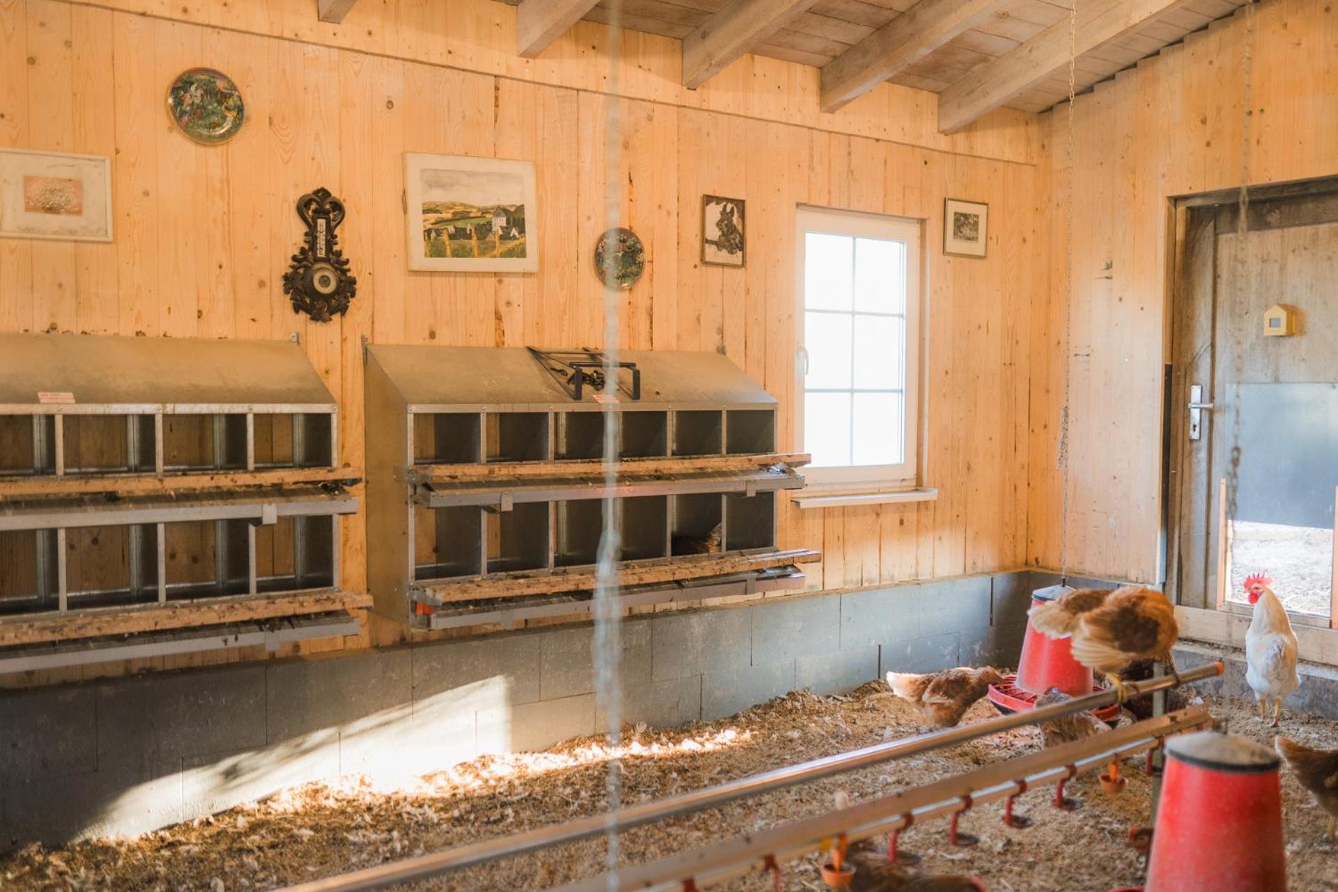 Hof Koehne - Doppelhaus - Wohnung Dreifachhexe Schmallenberg Bagian luar foto